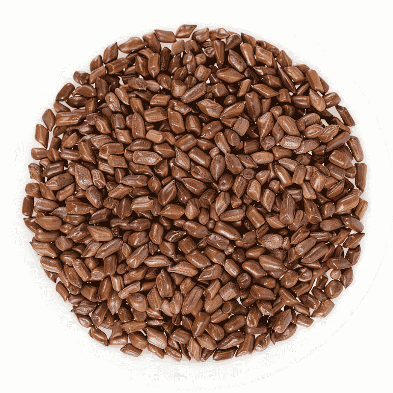 Herbal Wellness- Cassia Seed for Gentle Cleansing & Intestinal Health