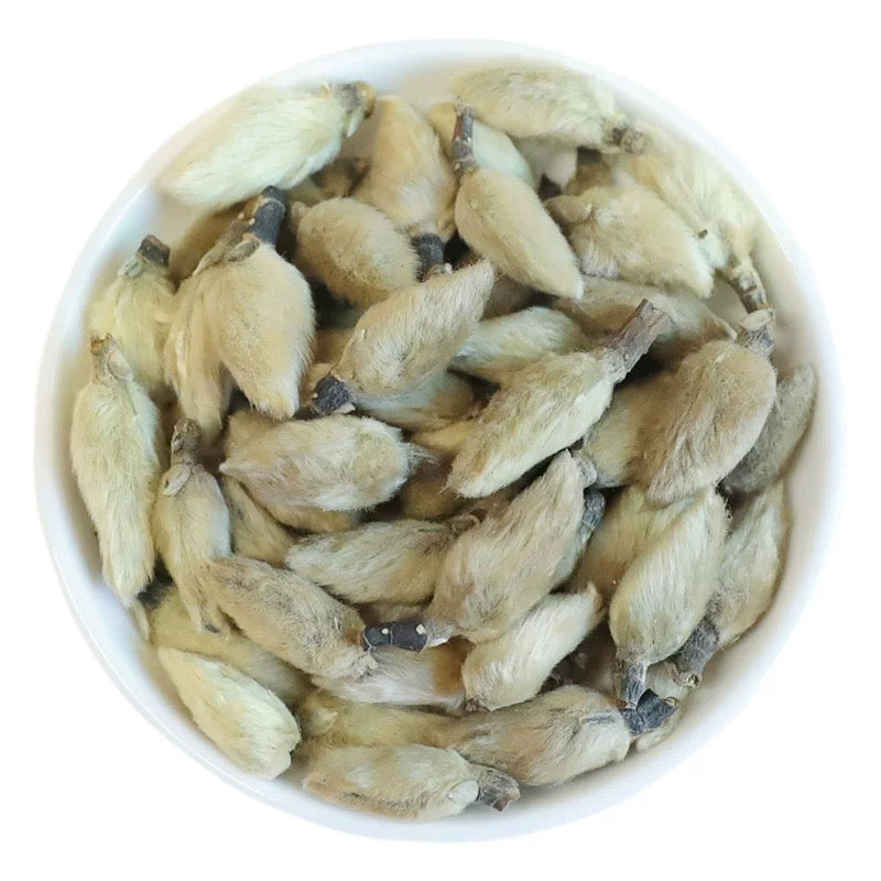 Herbal Wellness: Magnolia Flower Bud (Xin Yi Hua) – Natural Support for Sinus & Seasonal Comfort