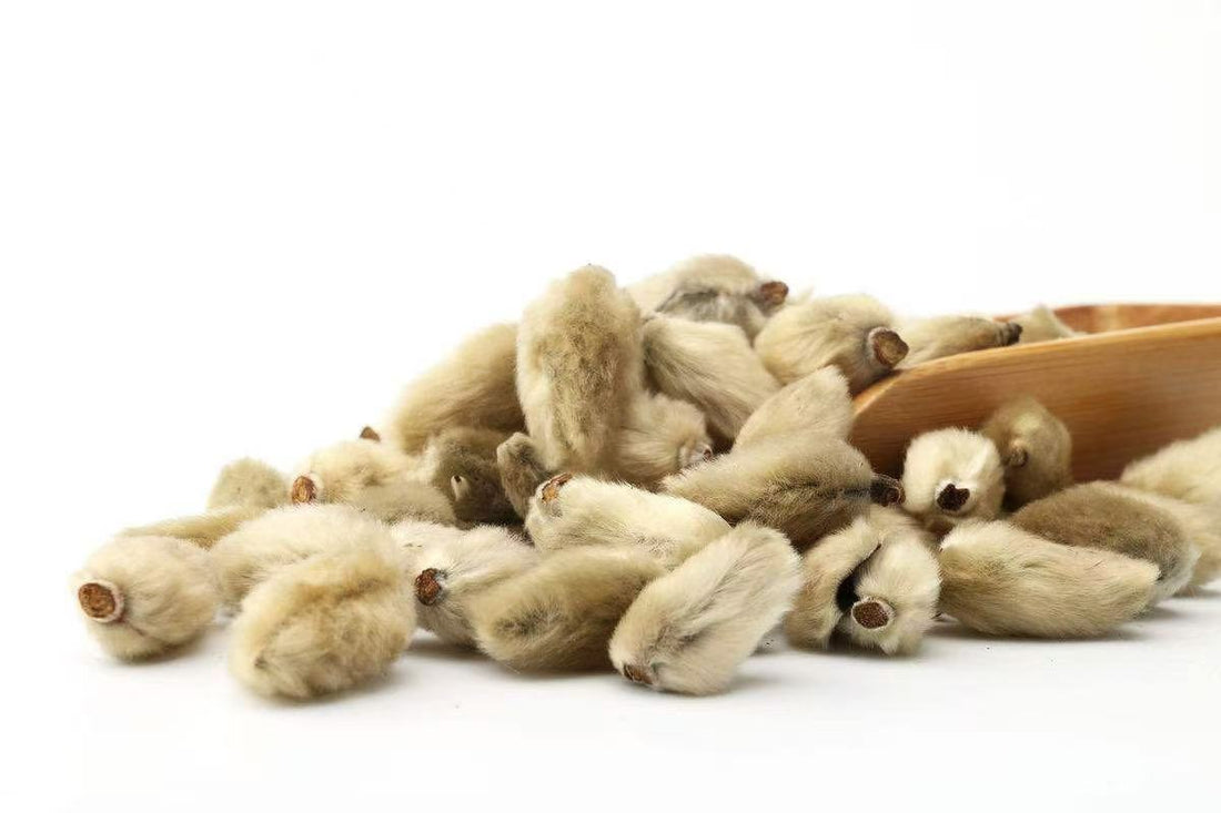 Xin Yi Hua (Magnolia Flower Bud): A Complete Herbal Index Guide to Traditional Uses and Modern Sinus Support