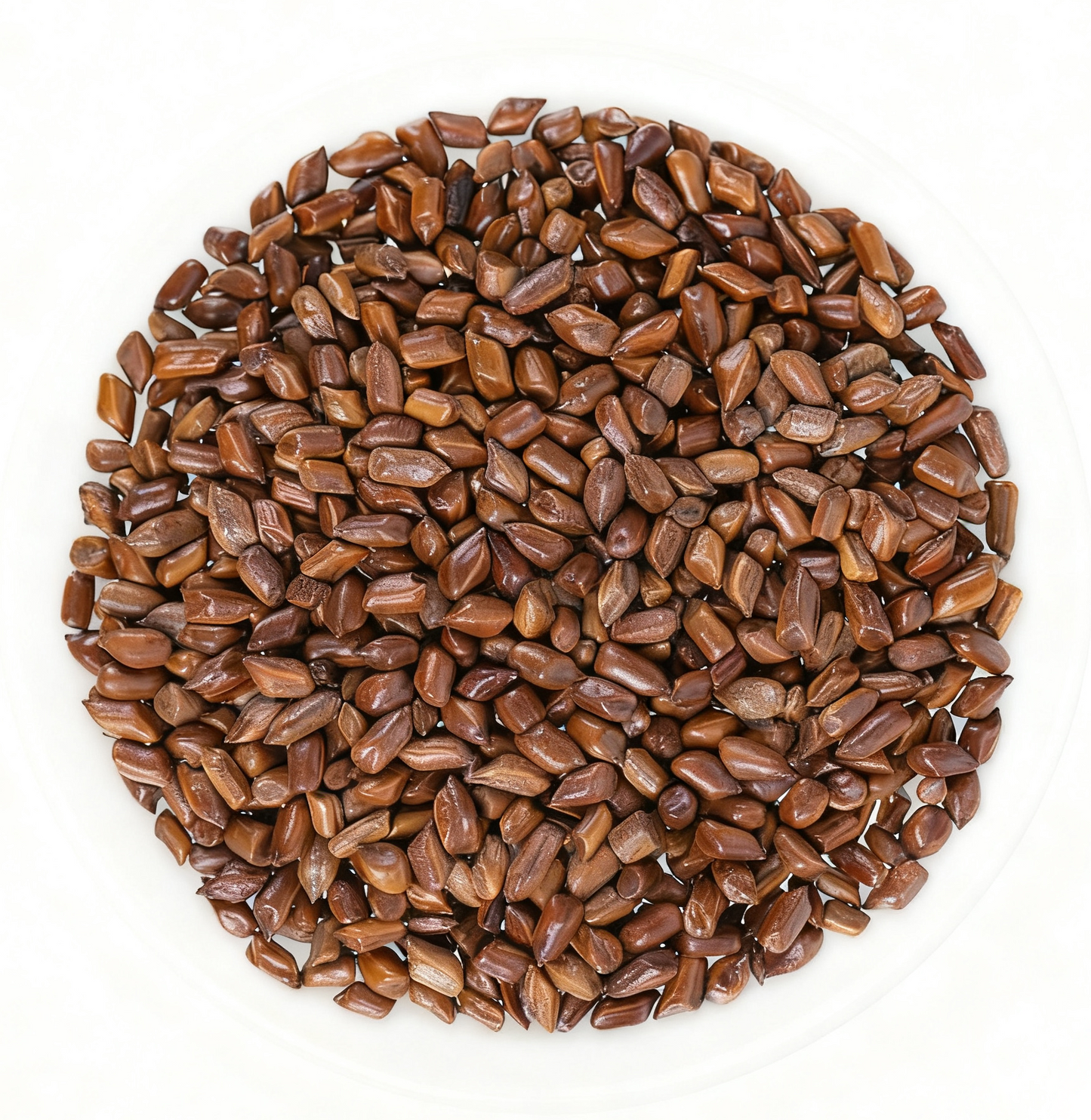 Cassia Seed - Cleansing - Intestinal Health - Herbal Medicine