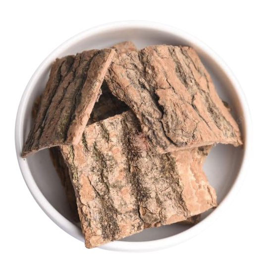 Herbal Wellness-Du Zhong (Eucommia Bark): Bone & Joint Comfort Support