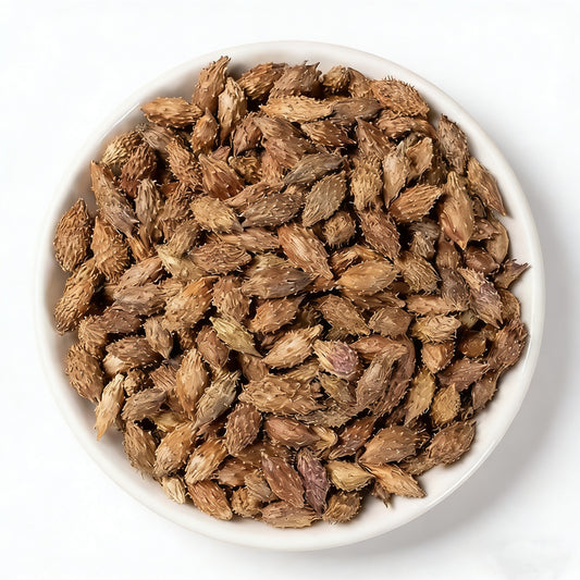 Herbal Wellness-Cang Er Zi (Xanthium Fruit): Clear Breathing & Seasonal Comfort